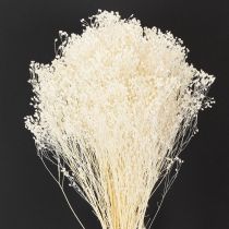 Produkt Broom Bloom Wybielone suszone kwiaty białe, długi termin przydatności do spożycia, 100 g