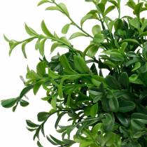 Produkt Gałązki skrzynkowe Drzewo bukszpanowe Sztuczna zielona roślina 6 szt.
