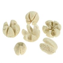 Produkt Deco kwiat bielony 12 szt