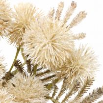 Sztuczny Oset Kremowy Drylook Globe Thistle 33cm 3szt
