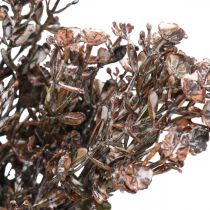 Sztuczne rośliny brązowa dekoracja jesienna dekoracja zimowa Drylook 38cm 3szt