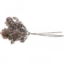 Produkt Sztuczne rośliny brązowa dekoracja jesienna dekoracja zimowa Drylook 38cm 3 szt