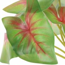Produkt Sztuczna kaladium sześciolistna zielono-różowa sztuczna roślina jak prawdziwa!