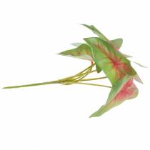 Produkt Sztuczna kaladium sześciolistna zielono-różowa sztuczna roślina jak prawdziwa!