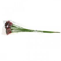 Produkt Kwiaty sztuczne Calla czerwone bordowe w pęczku 57cm 12 szt