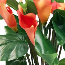 Produkt Kalia Lilia Morelowa Kalia Sztuczne Kwiaty Pomarańczowy Egzotyczny 44cm