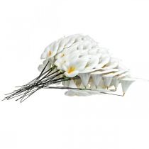 Produkt Calla średnia na drucie 50 szt