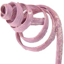 Produkt Trzcina stożkowa, trzcina, asortyment, jagodowa, 30 cm, 75 szt.