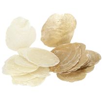 Produkt Krążki Capiz w naturalnych złotych muszlach 60 szt.