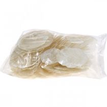 Produkt Morskie, muszle Capiz 5–10 cm, masa perłowa, przedmiot naturalny 1 kg