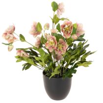 Produkt Sztuczna roślina doniczkowa Helleborus, róża bożonarodzeniowa, do dekoracji domu, 50 cm