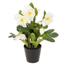 Produkt Sztuczna róża bożonarodzeniowa, roślina doniczkowa, dekoracja stołu, 34 cm