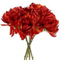 Produkt Bukiet chryzantem cynobrowy czerwony 28cm 6 szt