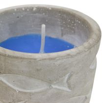 Citronella świeca w doniczce świeca zapachowa cytryna Ø7,5cm W6,5cm