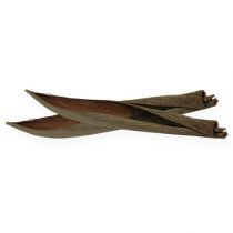 Produkt Łupiny kokosa naturalne 60cm 5 szt