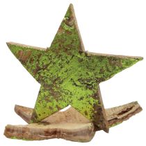 Produkt Dekoracja rozproszona Gwiazdki świąteczne kokosowa zieleń Ø5cm 50szt
