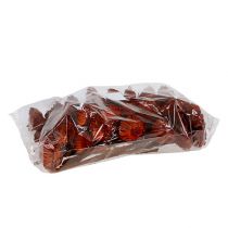 Produkt Rozeta Compacta pomarańczowa 40 szt