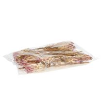 Produkt Compacta Różowa 25 szt