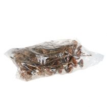 Produkt Rozeta Compacta 100 szt