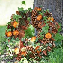 Produkt Szyszki Pinus Maritima 10cm - 15cm Naturalne 3 szt
