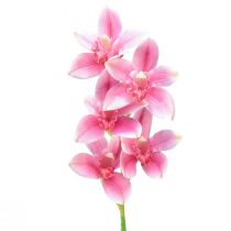 Produkt Storczyk Cymbidium sztuczny 5 kwiatów różowy 65cm