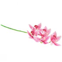 Produkt Storczyk Cymbidium sztuczny 5 kwiatów różowy 65cm