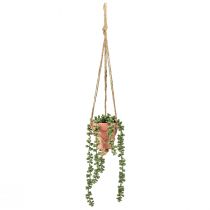 Produkt Sztuczne sukulenty wiszące wąż rozchodnik 34cm