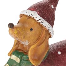 Produkt Dekoracyjna figurka jamnika z opakowaniem prezentowym i kapeluszem, 18 cm