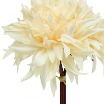 Produkt Dalia sztuczna kremowa 25,5cm 3szt