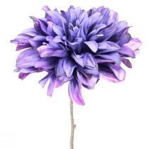 Produkt Sztuczna dalia z dużymi kwiatami w kolorze fioletowym L58cm