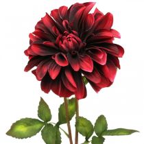 Produkt Sztuczny Kwiat Dahlia Czerwony Jedwabny Kwiat Jesień 78cm Ø3/15cm