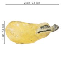 Produkt Doniczka jesienna na gruszkę, beton, 25×13×11 cm