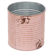 Produkt Puszka dekoracyjna, antyczna róża, metalowa puszka do sadzenia, Ø11cm, wys. 10,5cm