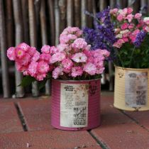 Produkt Dekoracyjne pudełko do sadzenia w stylu vintage fioletowa metalowa letnia dekoracja Ø11cm W10,5cm