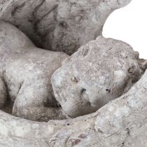 Produkt Aniołek dekoracyjny śpiący ze skrzydłami figurka anioła na grób 22,5cm