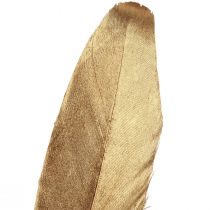 Produkt Pióra dekoracyjne złote Pióra świąteczne 15-20cm 12 szt
