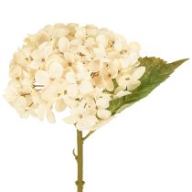 Produkt Hortensje dekoracyjne sztuczne kremowe kwiaty jedwabne 34cm 2szt