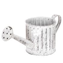 Produkt Konewka dekoracyjna, doniczka, konewka do sadzenia Ø10,5cm