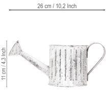 Produkt Konewka dekoracyjna, doniczka, konewka do sadzenia Ø10,5cm