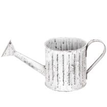 Produkt Konewka dekoracyjna, doniczka, konewka do sadzenia Ø10,5cm