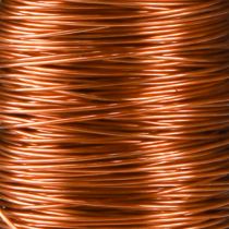 Produkt Drut Dekoracyjny Emaliowany Pomarańczowy Ø0.30mm 30g/50m