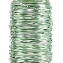Produkt Drut emaliowany Deco miętowy zielony Ø0,50mm 50m 100g