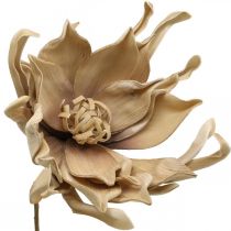 Deco kwiat lotosu sztuczny kwiat lotosu sztuczny kwiat beżowy L68cm