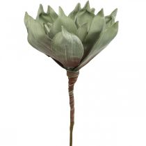 Deco kwiat lotosu, kwiat lotosu, kwiat jedwabiu zielony L64cm