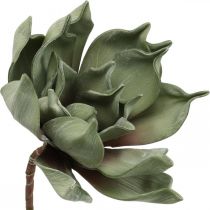 Deco kwiat lotosu, kwiat lotosu, kwiat jedwabiu zielony L64cm