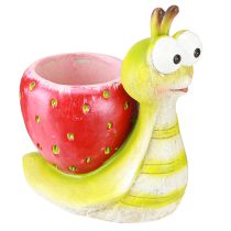 Produkt Doniczka dekoracyjna ślimak truskawka ceramiczna zielono czerwona 15,5cm