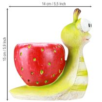 Produkt Doniczka dekoracyjna ślimak truskawka ceramiczna zielono czerwona 15,5cm