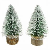 Dekoracja świąteczna, jodła deco, mini jodła zielona zaśnieżona wys. 15 cm Ø9,5 cm 6szt
