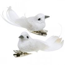 Produkt Deco para gołębi Deco ptaszki z klipsem białe L5cm 4szt