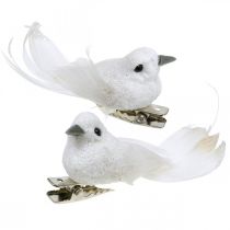 Produkt Deco para gołębi Deco ptaki z klipsem białe L5cm 4 szt
